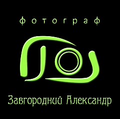 Александр Завгородний