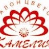 Салон цветов Камелия
