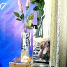 Татьяна Трюханова Разва